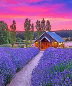 Cottage And Lavender At Sunset Paint By Numbers