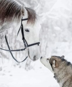 Horse And Husky Animals Paint By Numbers