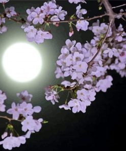 Moon And Pink Flowers Paint By Numbers