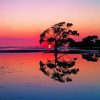 Purple Sunset Australian Landscape Reflection Paint By Numbers