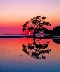 Purple Sunset Australian Landscape Reflection Paint By Numbers