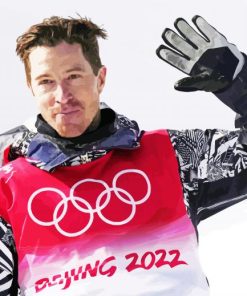 Shaun White Paint By Numbers