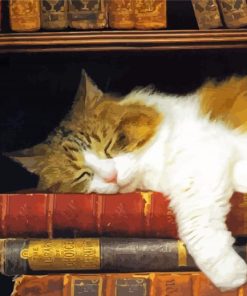 Sleepy Cat With Books Paint By Numbers