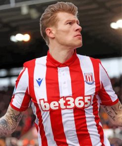 James McClean Paint By Numbers