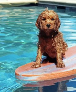 Wet Dog On Surfboard Paint By Numbers