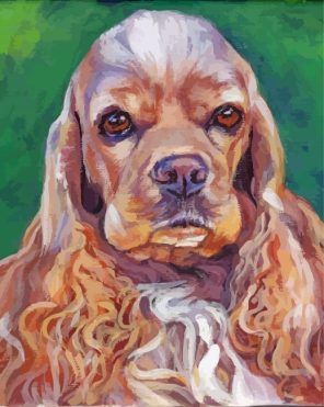 American Cocker Spaniel Art Paint By Numbers