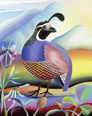 California Quail Male Paint By Numbers