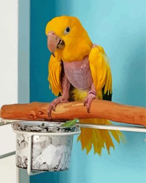 Golden Conures Bird Paint By Numbers