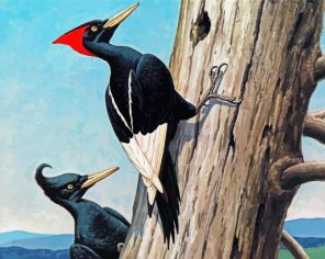 Male And Female Woodpecker Art Paint By Numbers