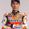 Marc Marquez Paint By Numbers