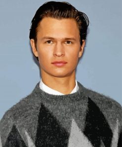 The American Actor Ansel Elgort Paint By Numbers