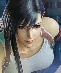 Tifa Lockhart Video Game Character Paint By Numbers