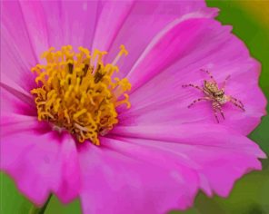 Aesthetic Flower With Spider Paint By Numbers