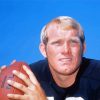 The Football Player Terry Bradshaw Paint By Numbers