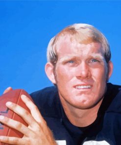 The Football Player Terry Bradshaw Paint By Numbers