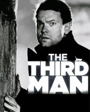 The Third Man Poser Paint By Numbers