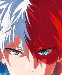 Todoroki Shoto My Hero Academia Paint By Numbers