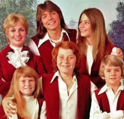 The Partridge Family Paint By Numbers