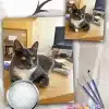 Paint By Numbers Custom​ Pets
