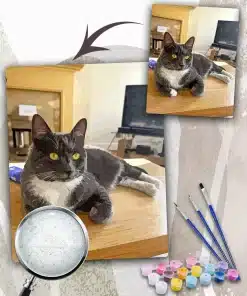 Paint By Numbers Custom​ Pets
