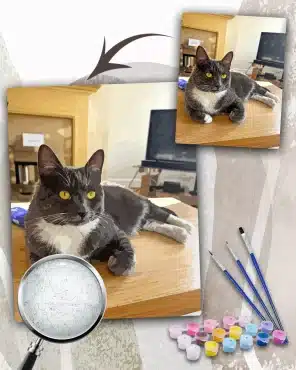 Paint By Numbers Custom​ Pets