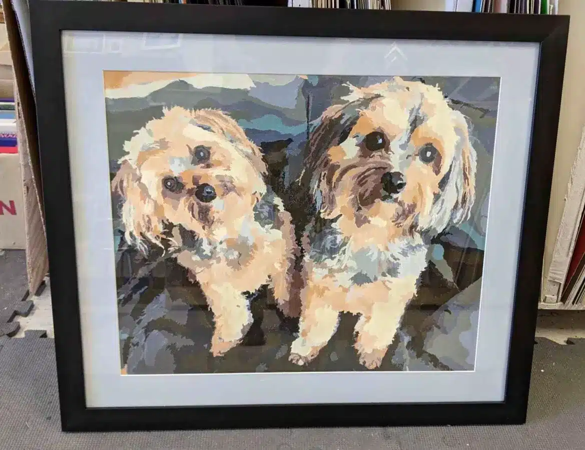 Paint By Numbers Custom​ Pets reviews 2