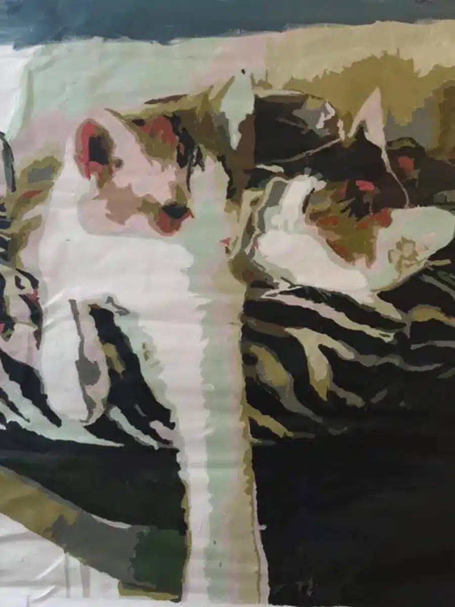Paint By Numbers Custom​ Pets reviews 3