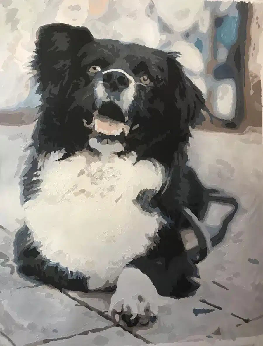 Paint By Numbers Custom​ Pets reviews 4