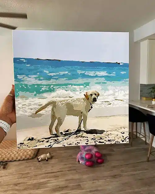 Paint By Numbers Custom​ Pets reviews 6