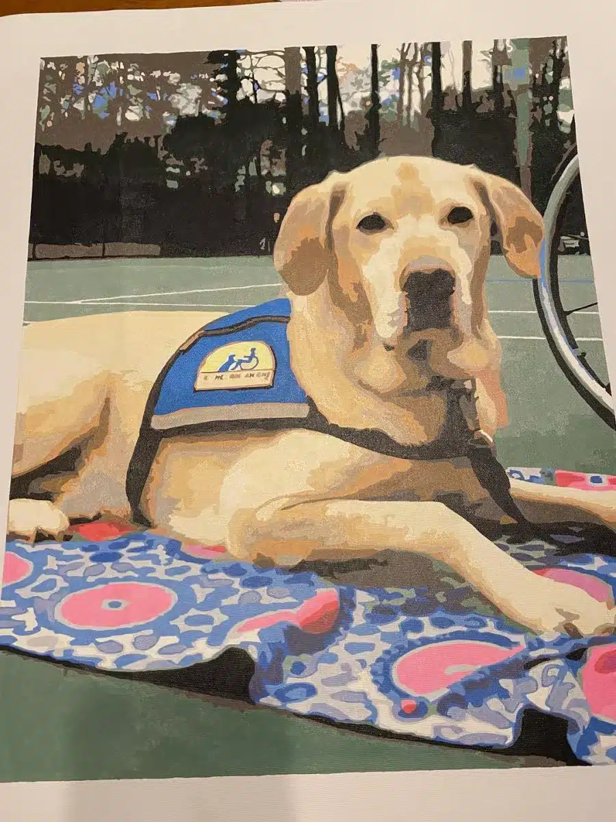 Paint By Numbers Custom​ Pets reviews 7
